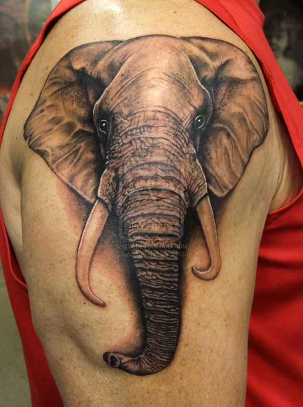 elephant-tattoos-33