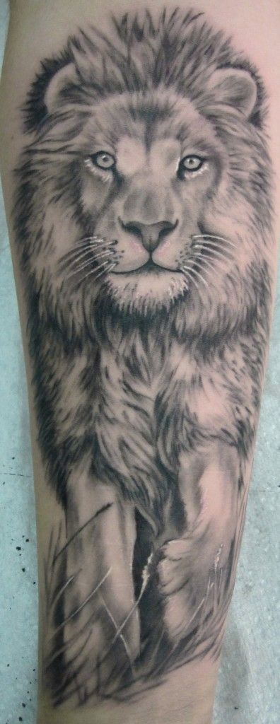 lion-tattoos-22