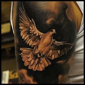 Dove Tattoo Ideas for Guys