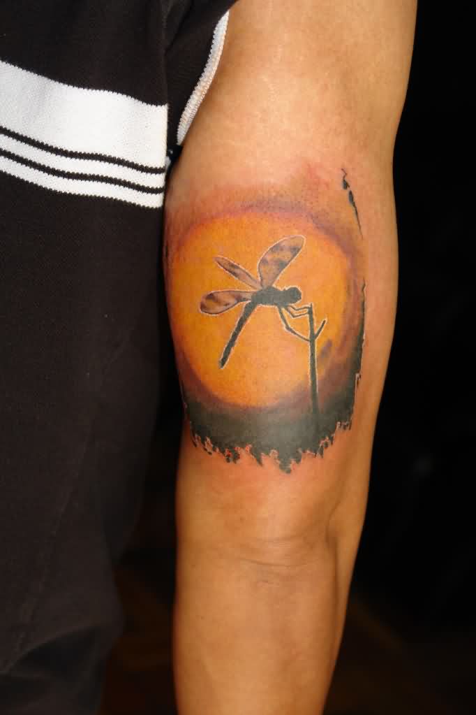 Dragonfly Tattoos for Men Ideas and Inspiration for Guys