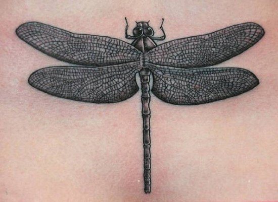 dragonfly-tattoos-38