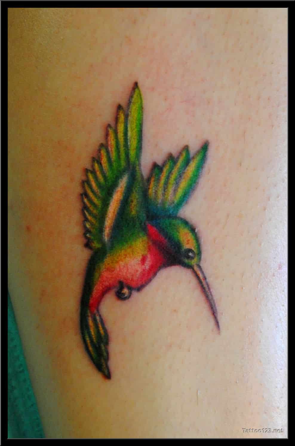 hummingbird-tattoos-11