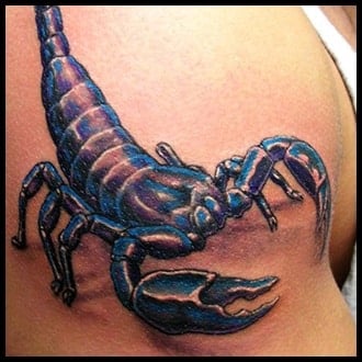 Scorpion Tattoo Ideas for Guys
