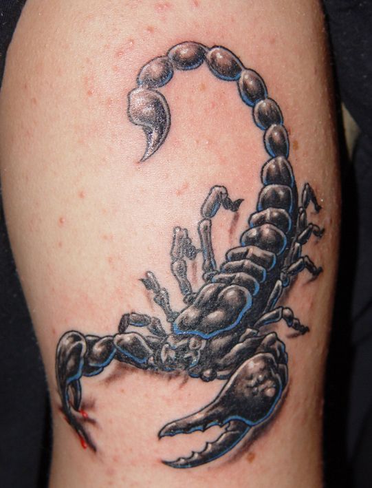 scorpion-tattoos-06