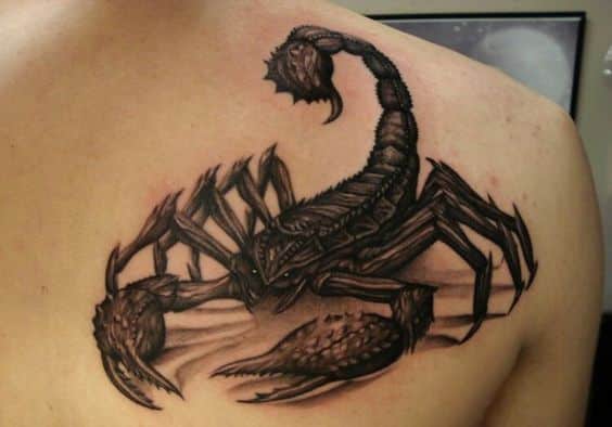 Scorpion Tattoo with Fine Lines - wide 5