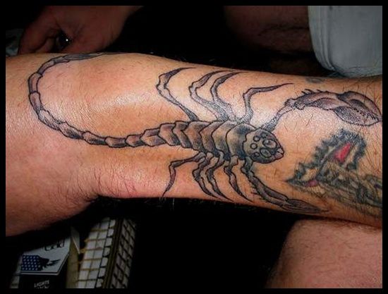 scorpion-tattoos-42