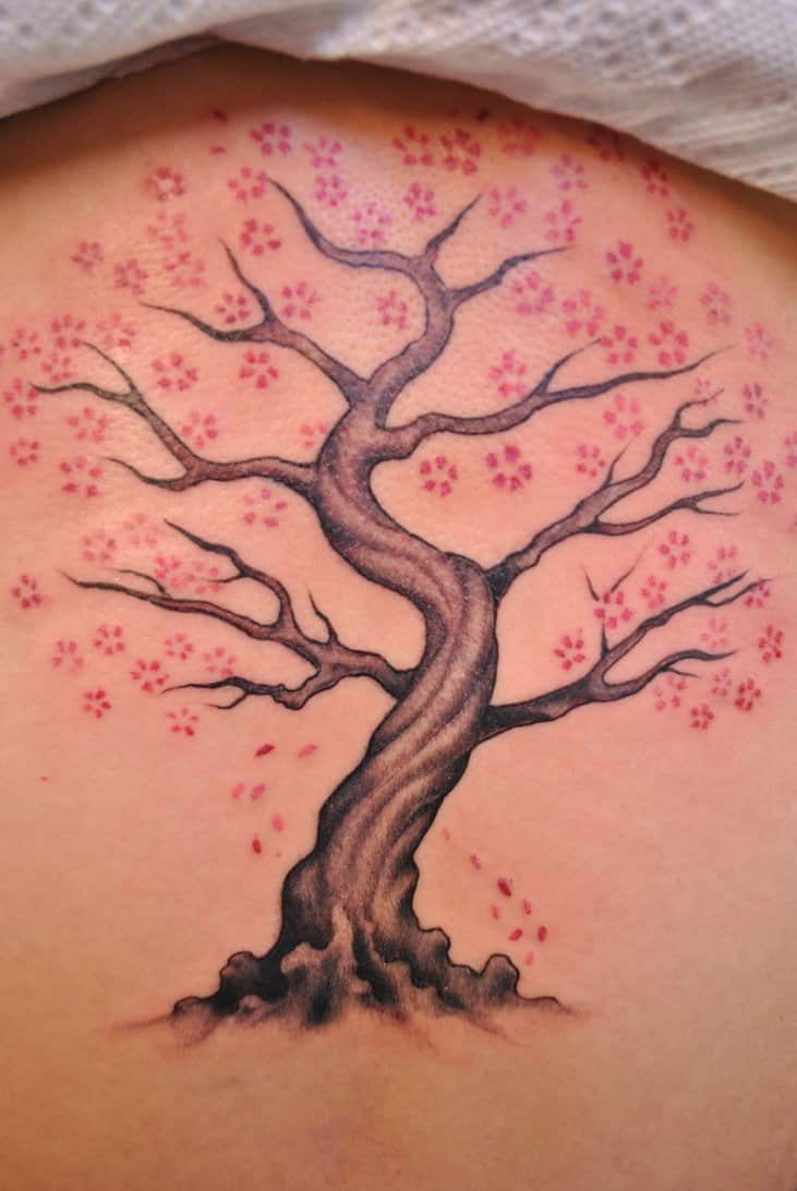 Cherry Blossom Tattoos for Men Ideas and Inspiration for