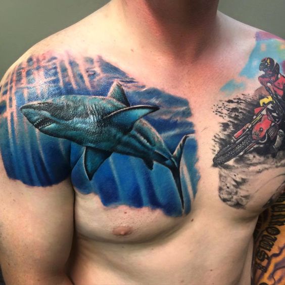 Shark Tattoo - Tattoo Collections