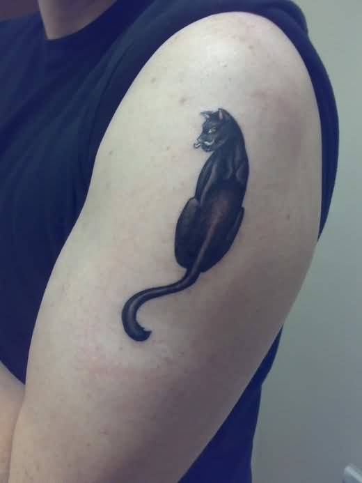 cat-tattoos-03