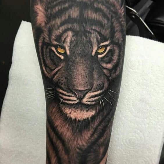 tiger-tattoos-01